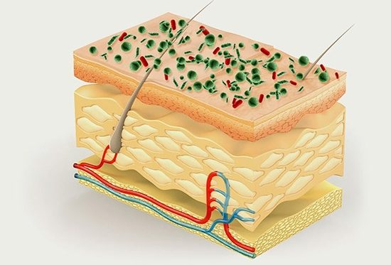 میکروبیوم پوست
