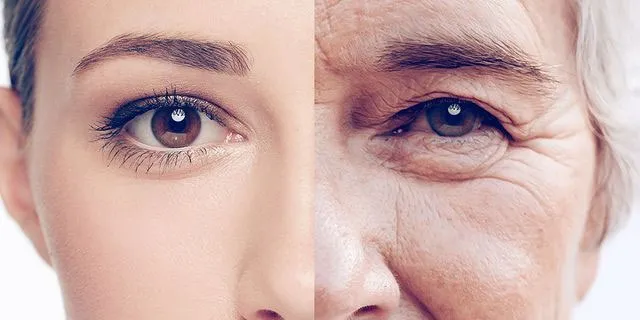 چگونه محصولات مراقبت از پوست با پیری زودرس مقابله می‌کنند؟